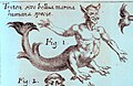 Merman/carnivore of sorts combination