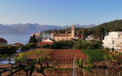 The Dominican monastery, Lopud