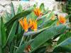 image-slider-with-thumbnail1.jpeg - copy - copy - copy - copy