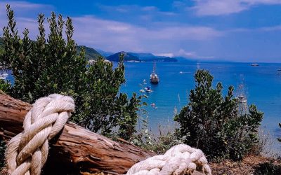 Šunj beach, the heart of Lopud summer buzz